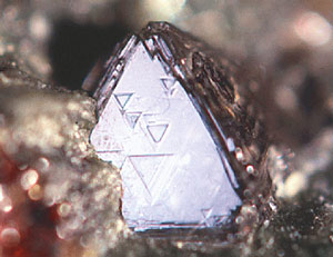 Diamant:  John Jaszczak