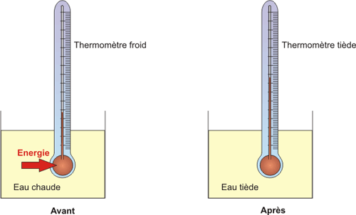 Que mesure un thermomtre?