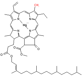 Chlorophylle formule