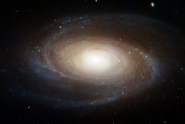 Galaxie spirale: M81